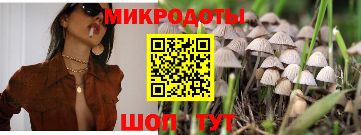 Кизляр  Псилоцибиновые грибы Cubensis  Вход с VPN  Галлюциногенные грибы Cubensis 